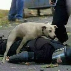 01 - Atk - AltoKriterio - El Asalto