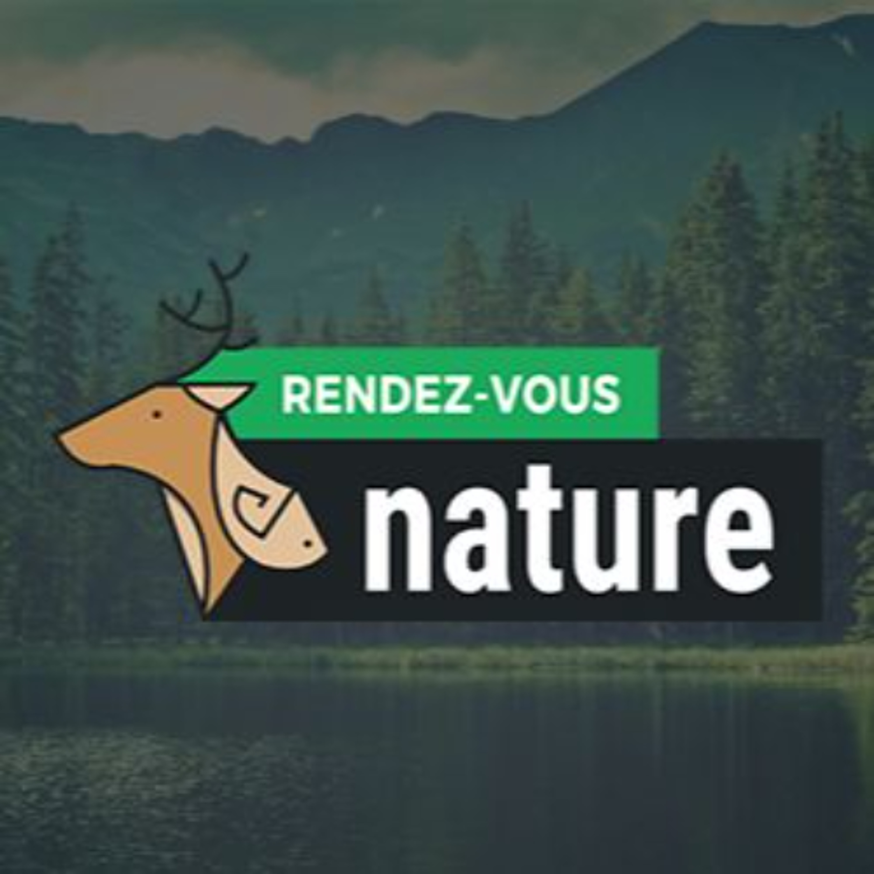 Cover art for the episode Rendez-Vous Nature.ca- Julien Cabana (fin de la vente des permis commerçants)