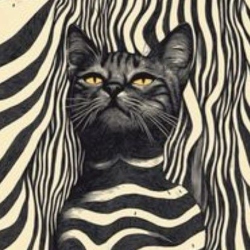 catgroove itajai