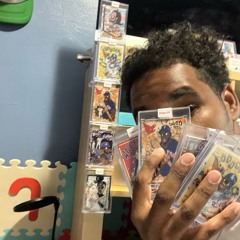 GOYAARD BAG/ LOUIS V BAG