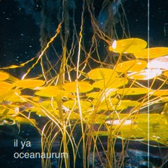 oceanaurum