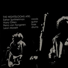 the nightblooms - Crystal Eyes (live 1991)