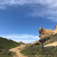 Trail Of The Sun