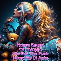 House Sound Of Chicago We Got The Funk