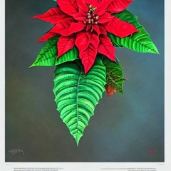 Ave Maria (Live Piano Vocal)