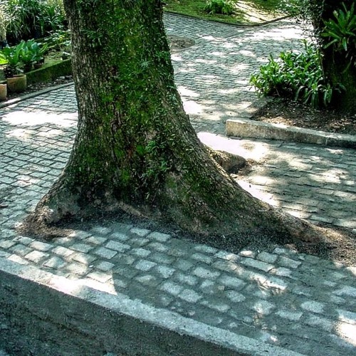 Projeto Calçadas - Devolvendo a cidade aos pedestres