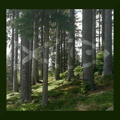 Cerulian - Fish and trees