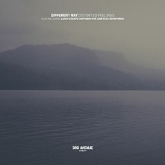 Different Ray - Distorted Feelings [3rd Avenue]
