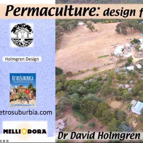 Permaculture Design For Positive Action With David Holmgren RFUTURE 2024 REWIND
