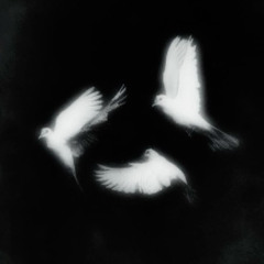 Flexo - Hate Falling
