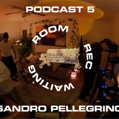 Waiting Room Rec / Sandro Pellegrino