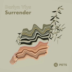 Premiere: Darlyn Vlys - Surrender [Pets Recordings]