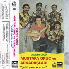 Çatal Çamlar Arası