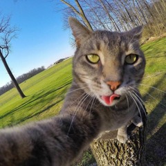 DJ PABBURA SARA_(TOPI MIRING PART 2) CAMPURAN MIX BREAKBEAT BASS DALEM!! BAMPAI TO LAOO✈️ MRS'MUL14