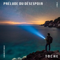 PREMIERE: TOCHE - La Bête Intérieure (Original Mix) [Curiosity Music]