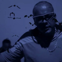 TI LK - Chien La Race