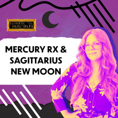 MERCURY RX & SAGITTARIUS NEW MOON - Shifting The Big Picture