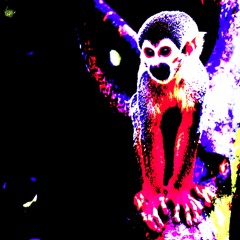 S2S Jamns 2026 - Day 04