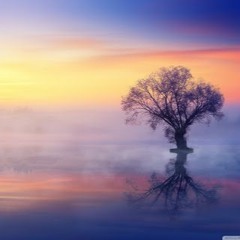 Deep In Our Soul w/ Aaron Grossbard