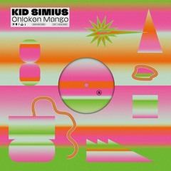 Premiere: Kid Simius - We Like To Party (Gerd Janson Remix) [Jirafa Records]