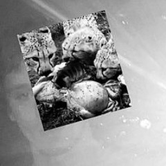 Decalius - Genocidal (Album Version).mp3