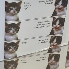 \^.^/