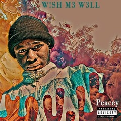 W!SH M3 W3LL