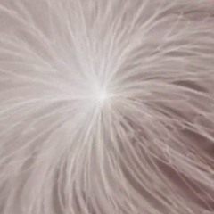 (sounds) [Kitsch Niche Cache 0017]