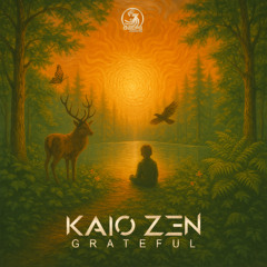 Kaio Zen - Shining Light (Preview) | Out 16 May on Dacru Records