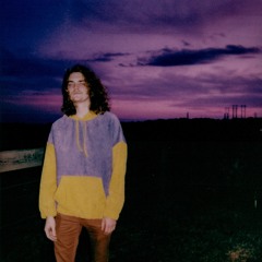 where does the orchid grow?