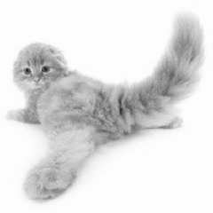 @twmmxso_@pvnk_benzos.mp3