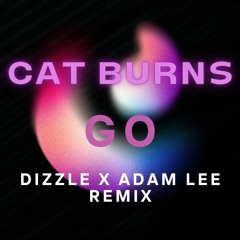 Cat Burns - Go (DJ Dizzle & Adam Lee Remix)