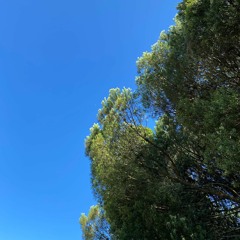 stk & ten$hi - plan [aviothic exclusive]