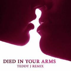 Teddy J feat. Michael Shynes  - Died In Your Arms