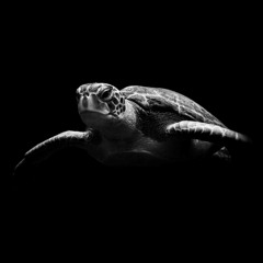 OCEAN SPACE-Axis (Mellon Place Records)