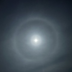 moonring