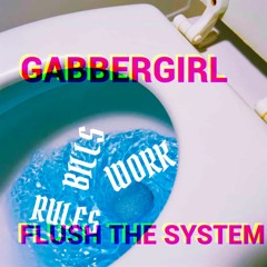 Flush The System