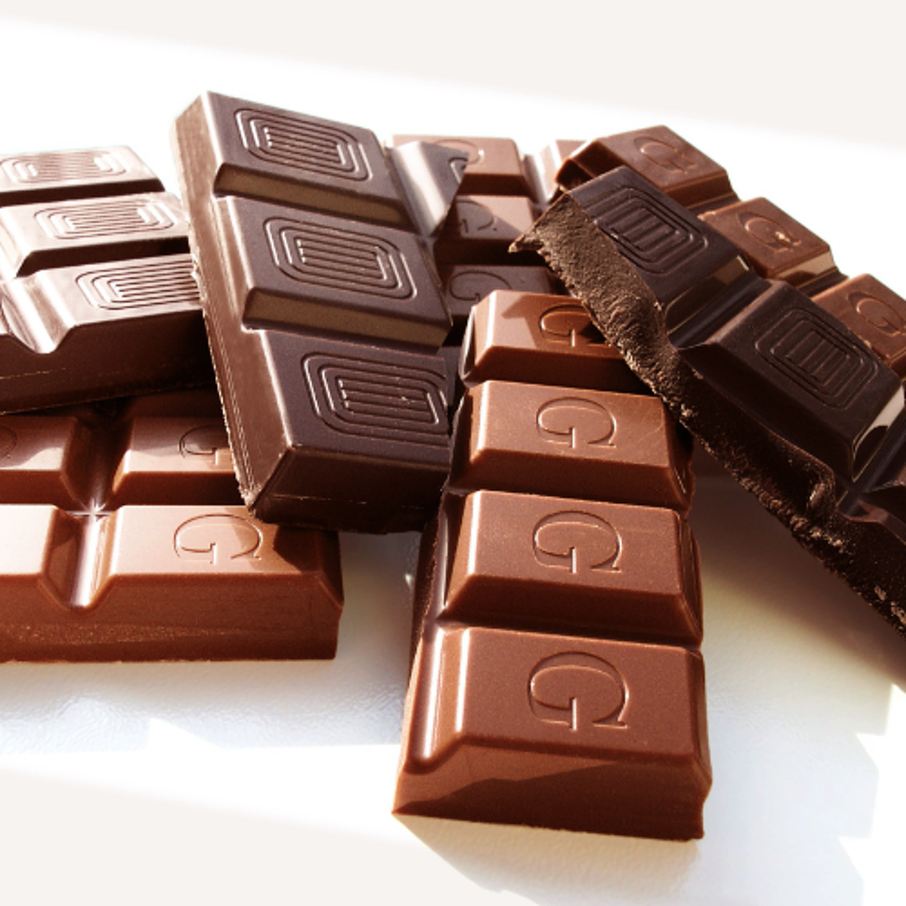 Chocolate toxicity in dogs - a year-round threat