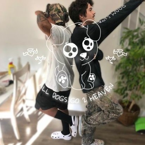 DUNCEDOG SET