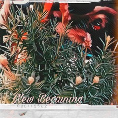 A new Beginning - Lofi Dream