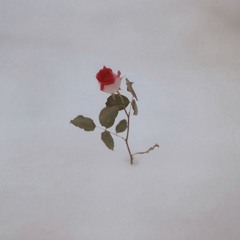 Janus x Rizzy Rails x Keta Kat - water