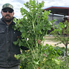 AgEmerge Podcast 153 with Andrew Carroll - Founder of EcoThrive Farm Management