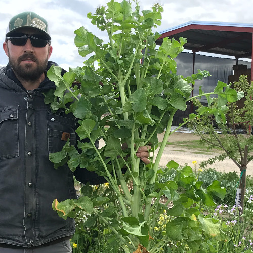 AgEmerge Podcast 153 with Andrew Carroll - Founder of EcoThrive Farm Management