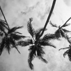 LANA DEL REY - CARMEN (LEX MARVELOUS REMIX)