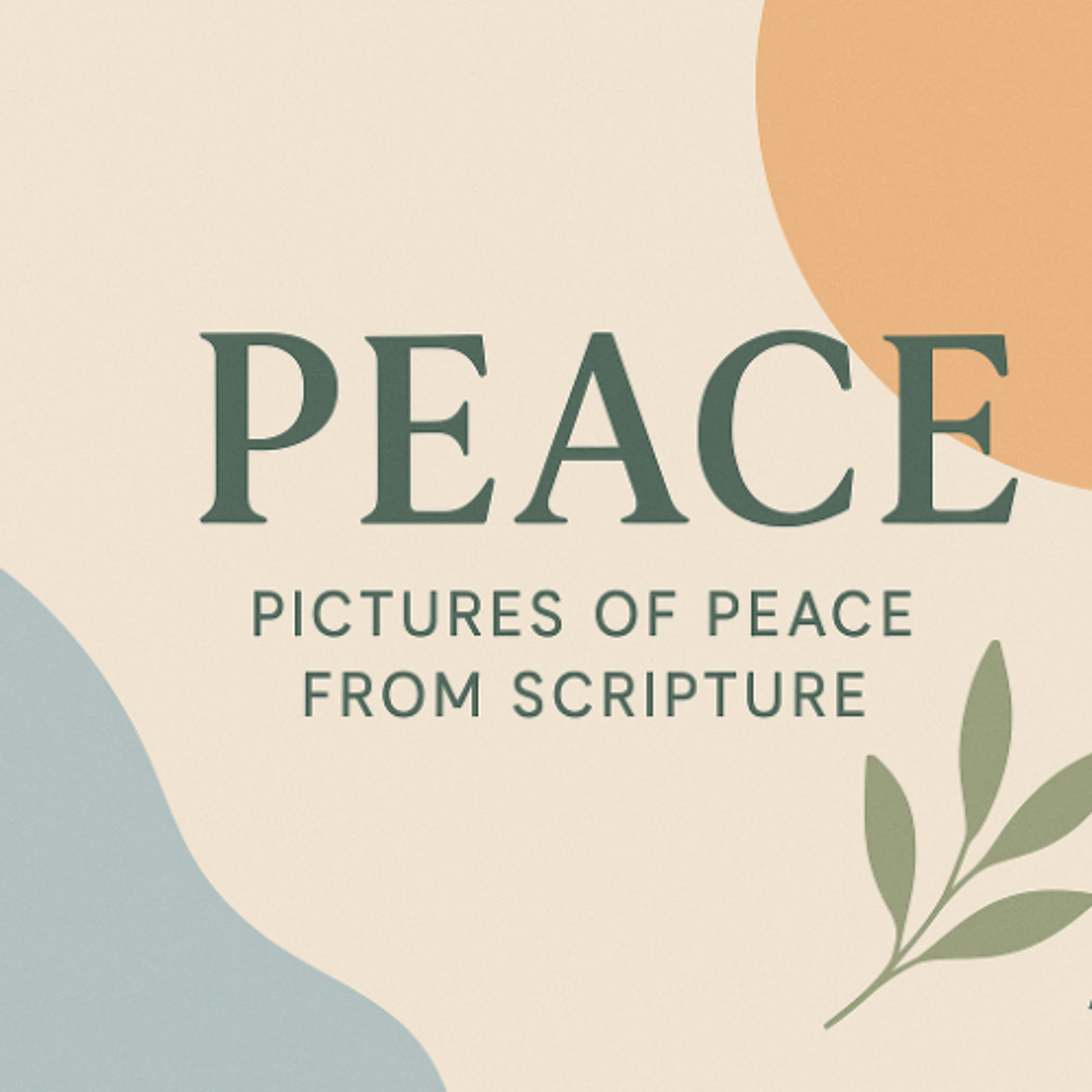 PEACE - MIDWAY WEEK 2 episode artwork