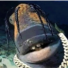 Pufferfish feat. Travis Scott fish - going fishomode