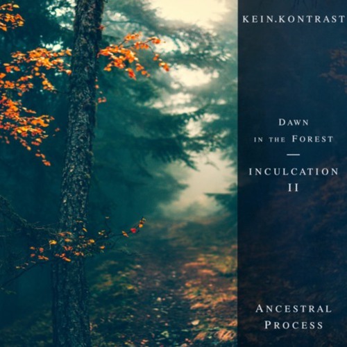 Ancestral Process • Inculcation 02 - Podcast Series