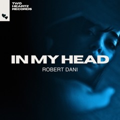 Robert Dani - In My Head (Radio Mix)