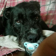 Techno Technazo Big Mike Dj