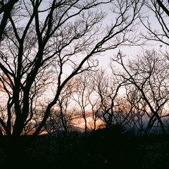 tabu -interlude- / Tomo Ando